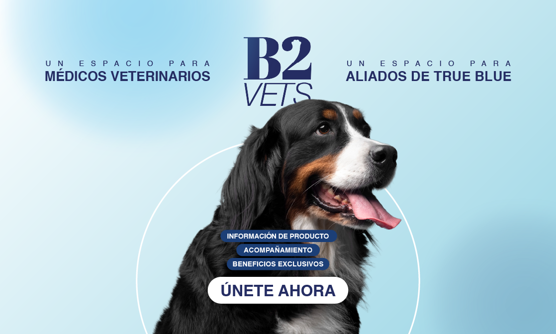 B2VETS — Un espacio para Médicos Veterinarios y Aliados de True Blue